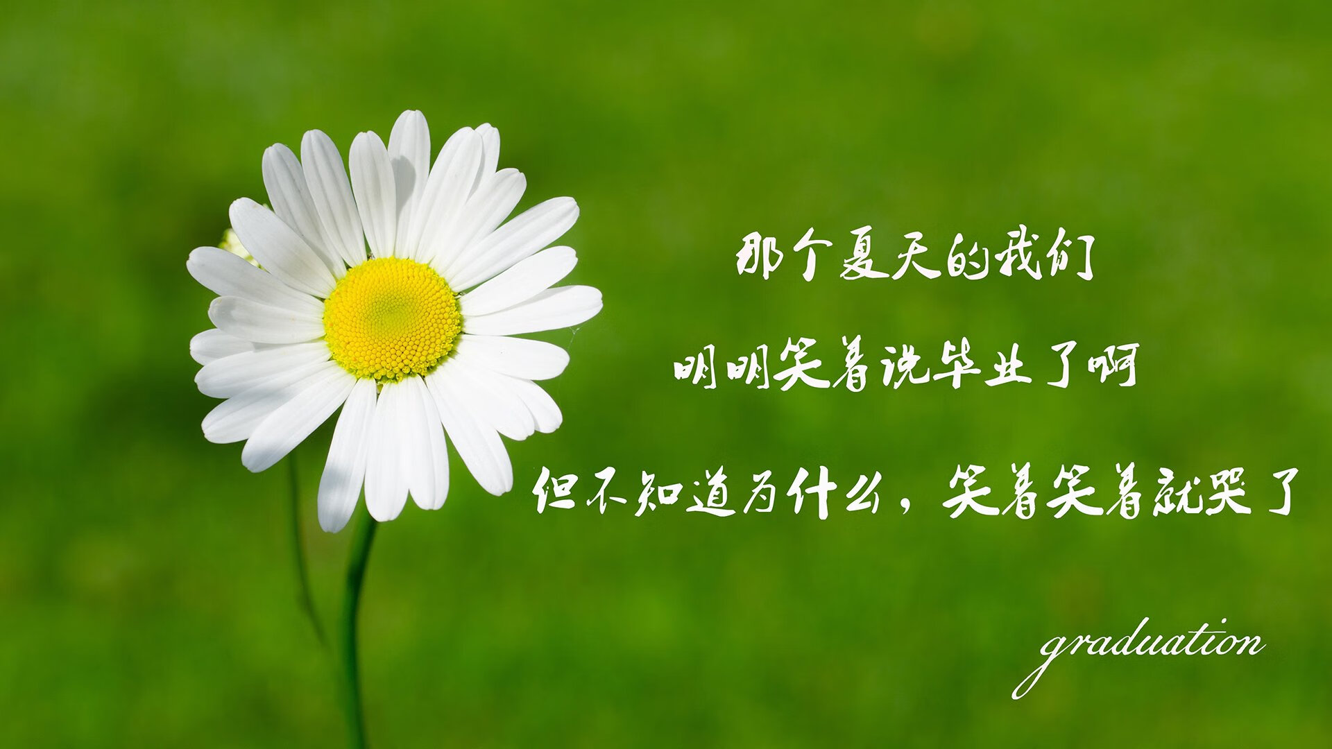 哥伦比亚反曲弓男队首次晋级奥运会，哥伦比亚反曲弓美女