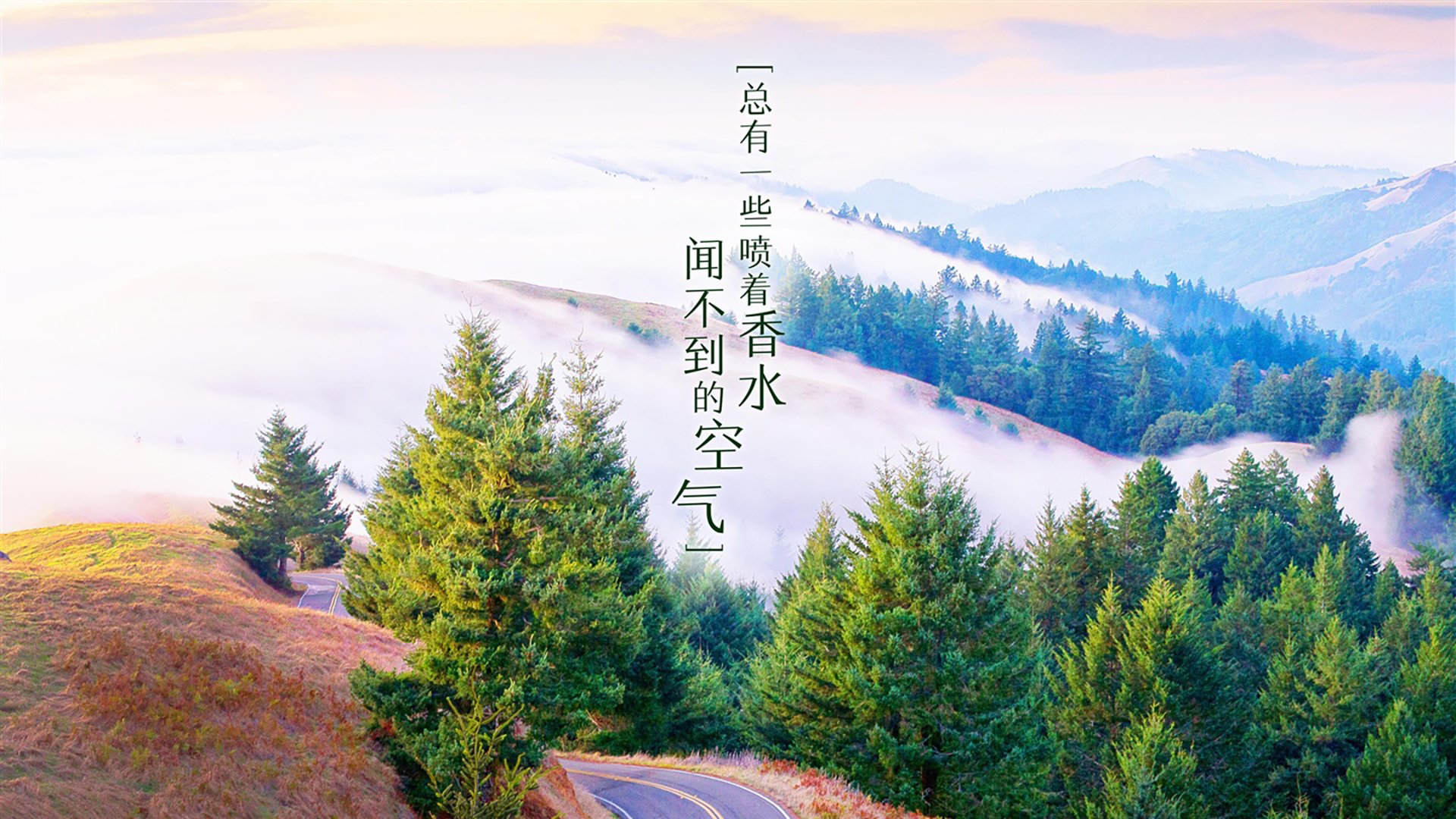 全力以赴，助力球队率先突破对手防线！，全力以赴比赛