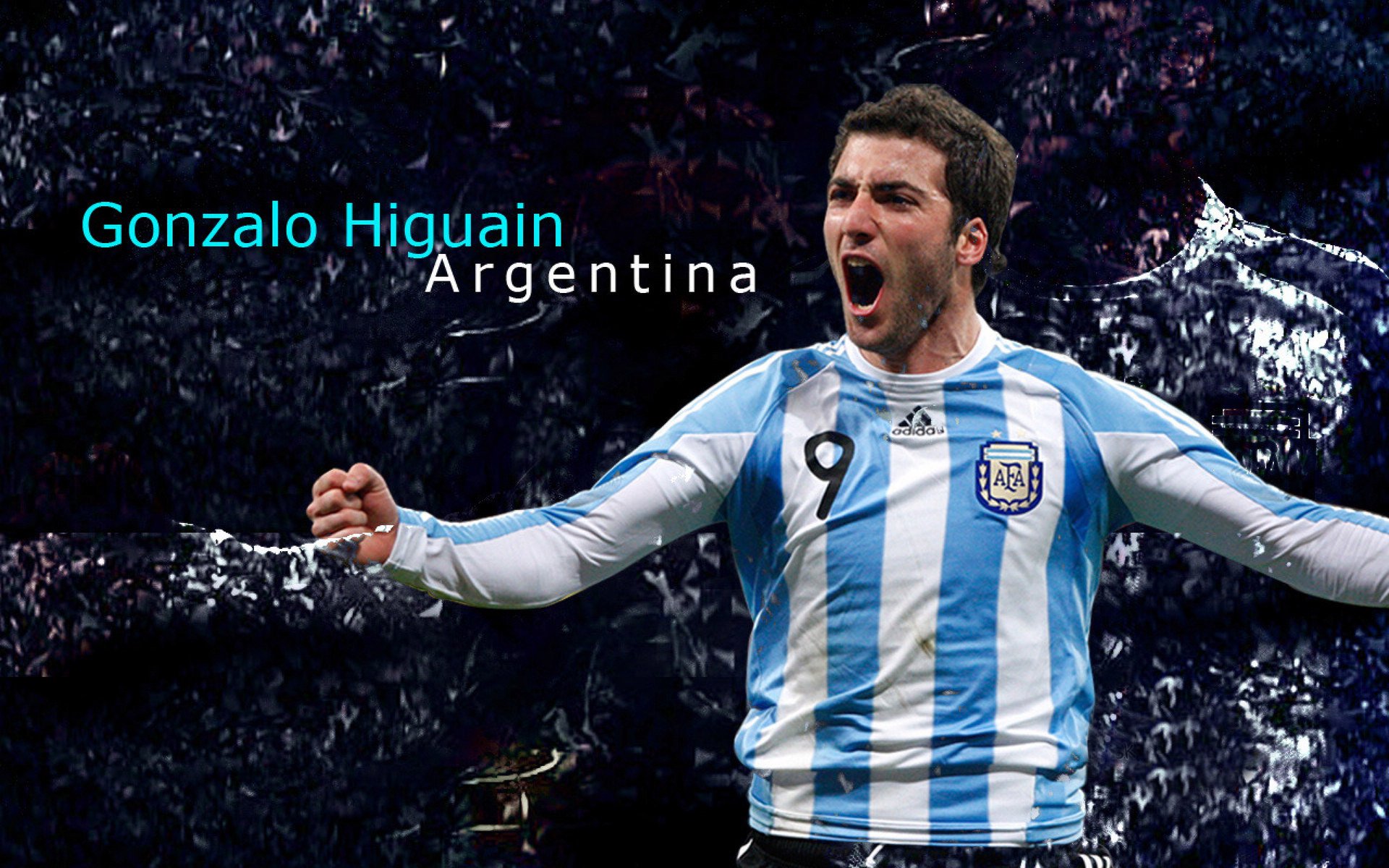 _演讲和激励：顶尖运动员的成功经验_，运动员成功事例