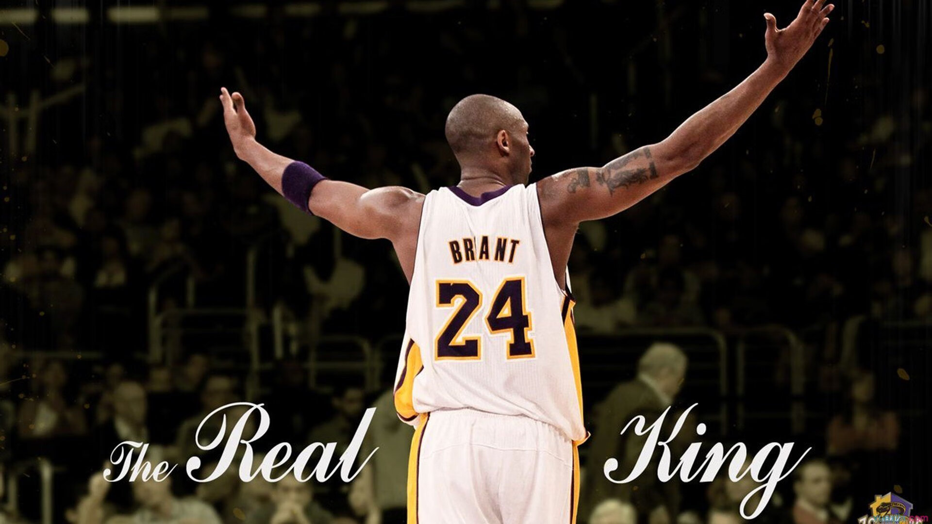 全国青少年“绿色运动”公益活动在福州全面展开，践行绿色理念